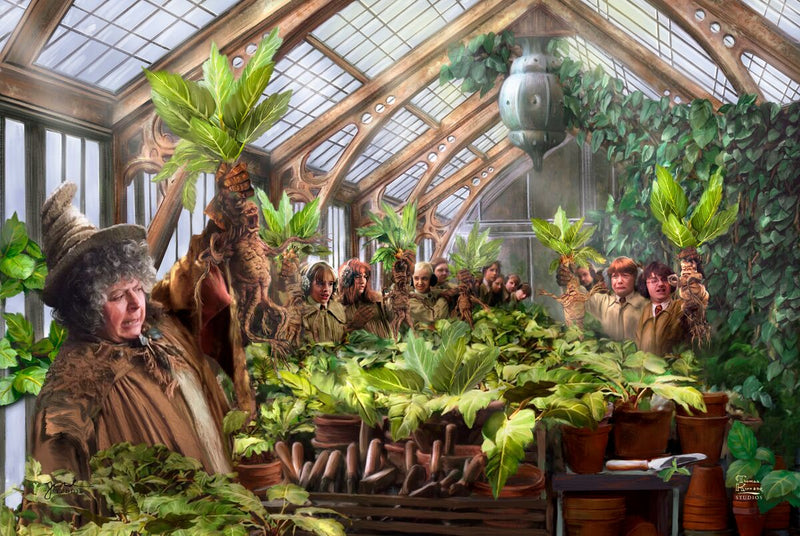 Harry Potter™ Greenhouse