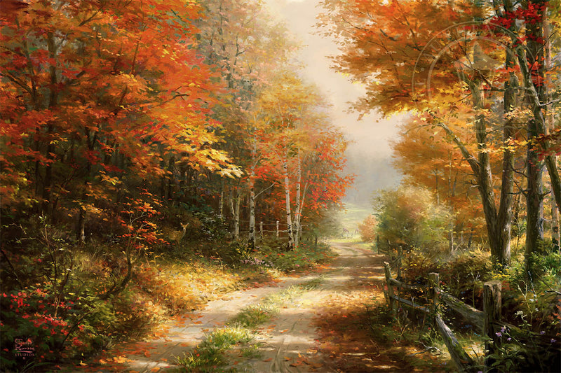 A Walk Down Autumn Lane