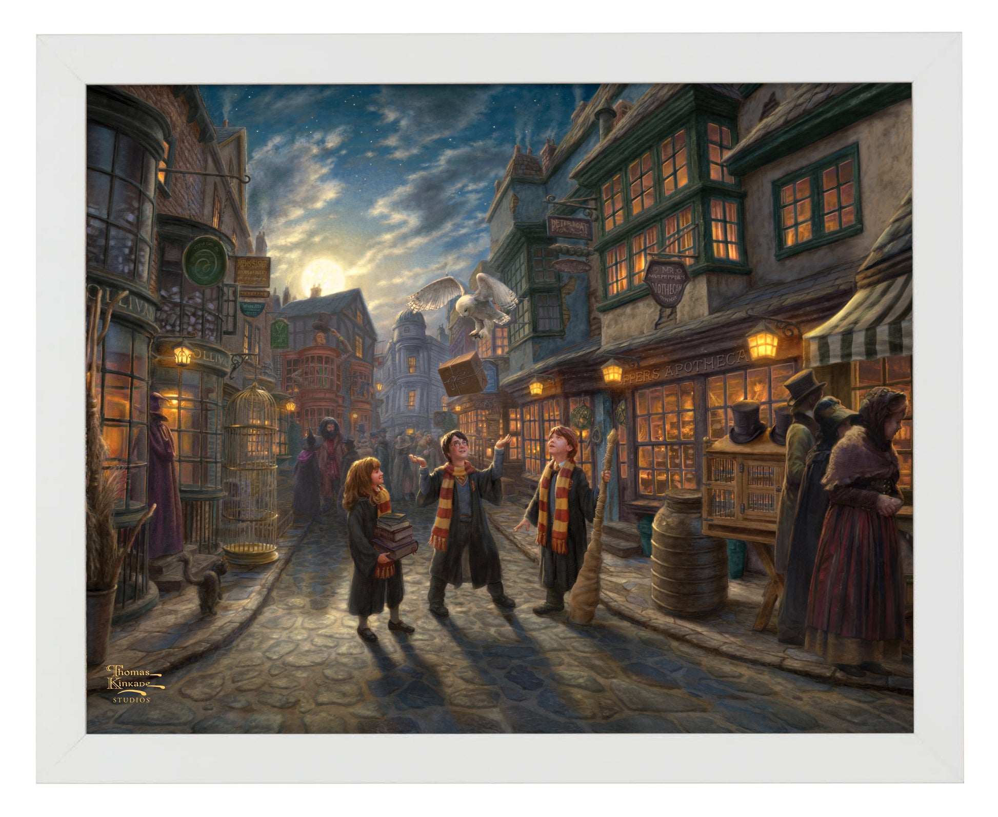 165538 FRA Harry Potter Diagon Alley 11X14 Art Print WF.jpg