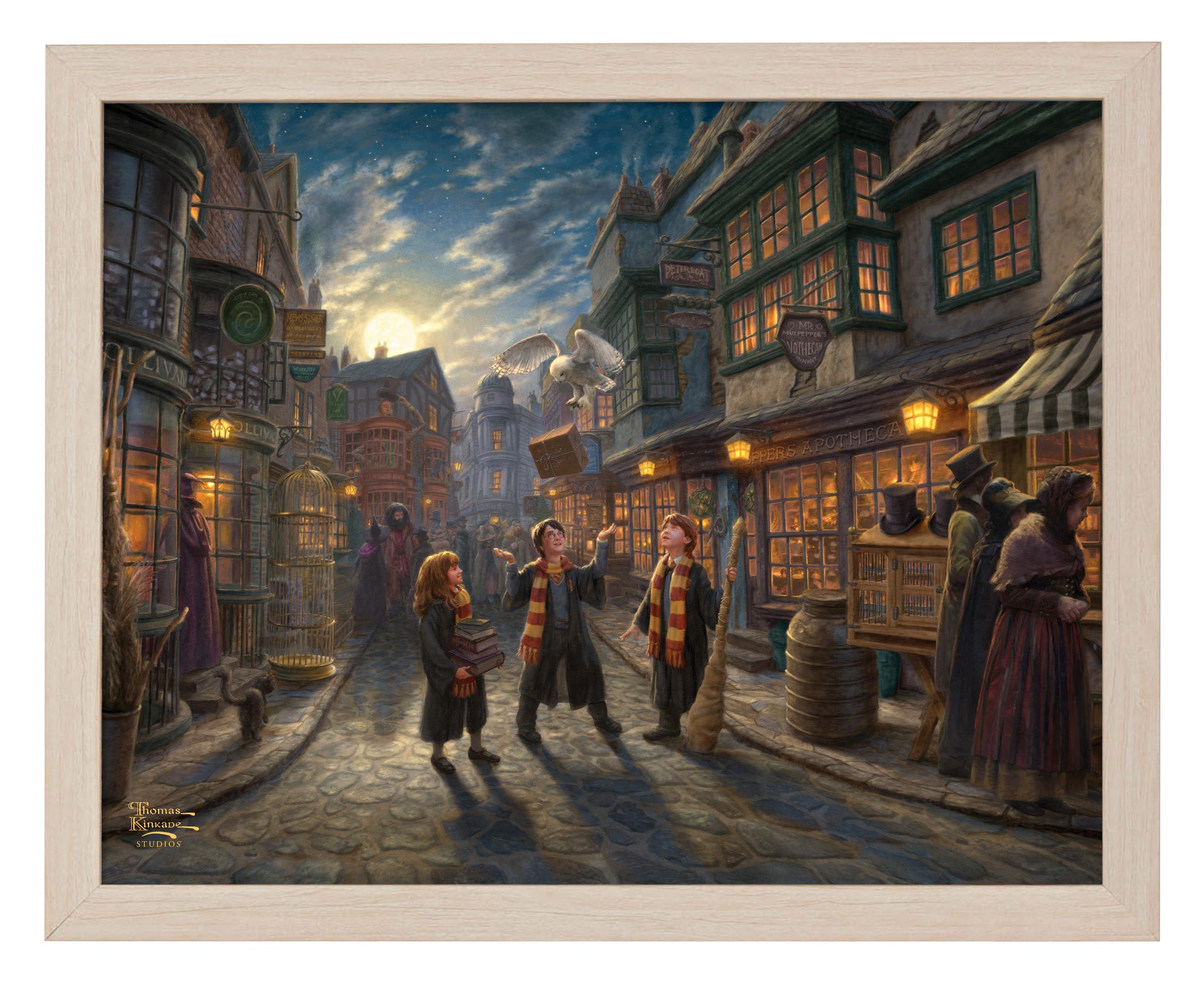 165540 FRA Harry Potter Diagon Alley 11X14 Art Print NF.jpg