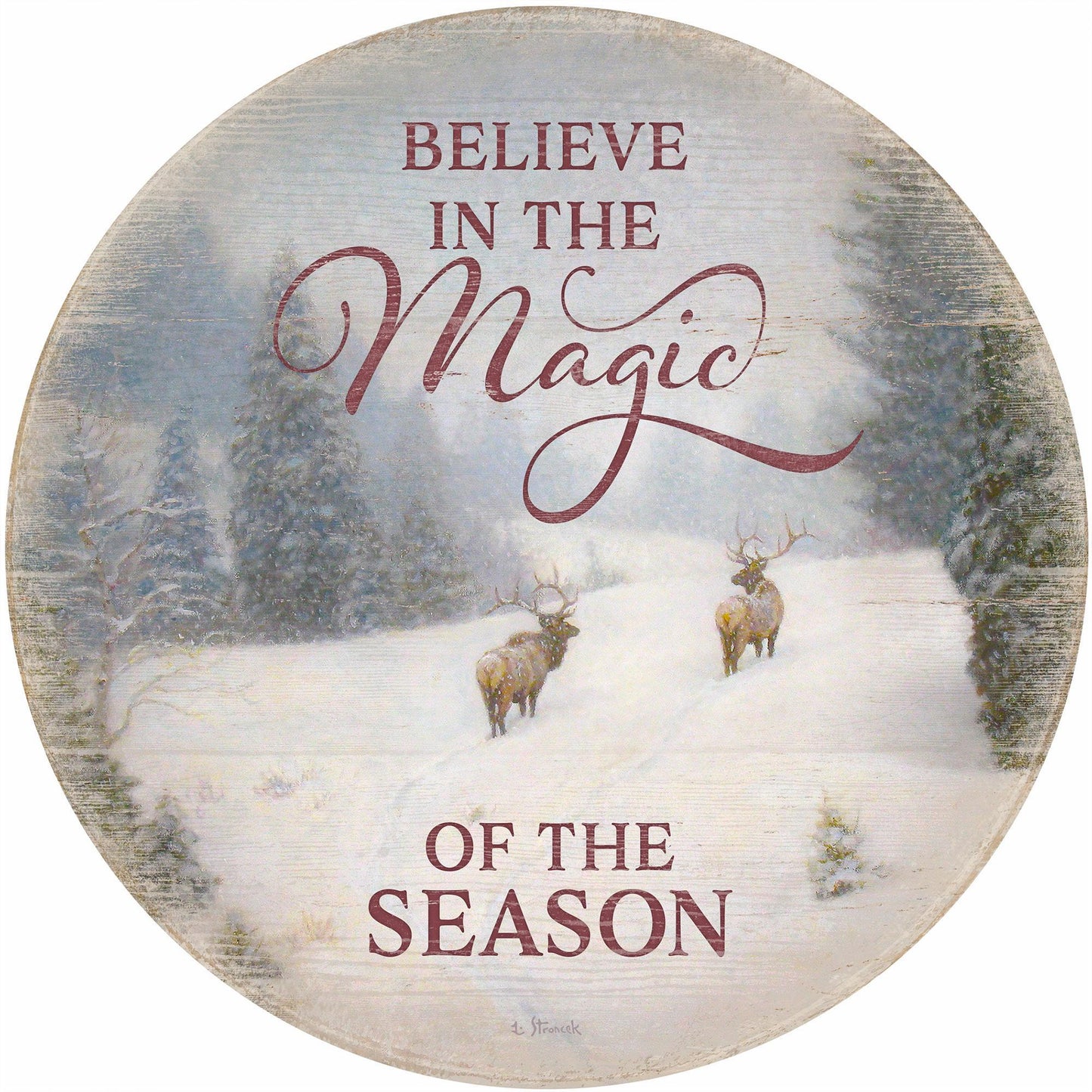 Believe in the Magic of the Season