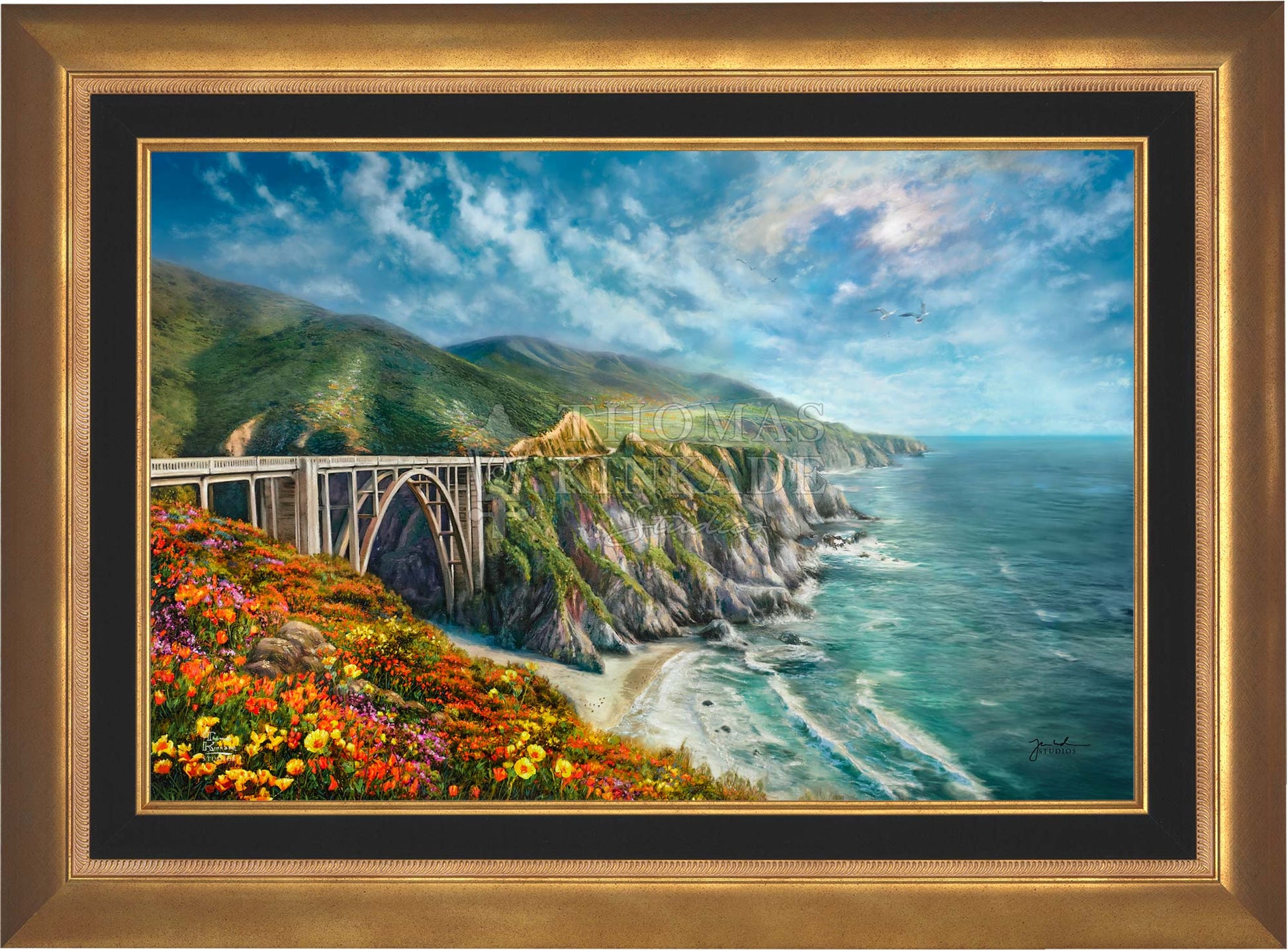 canvas_bigsur_aurgld.jpg