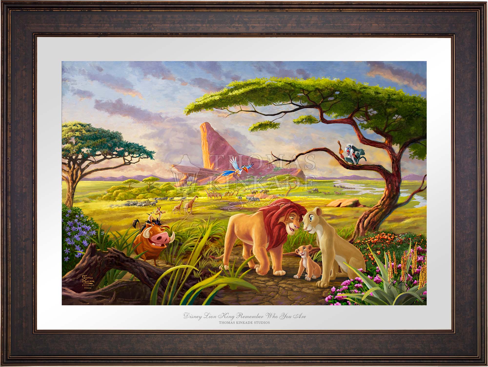 Disney orders Lion King fade picture